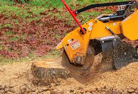 Best Lawn Mowing  in Flossmoor, IL