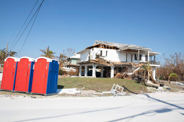 Best Emergency Tree Removal  in Flossmoor, IL